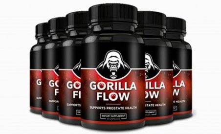 Gorilla Flow - Today Offer