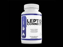 LeptoConnect - Offer Today